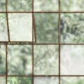 9528W GreenWindow Closeuphh