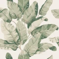 Cropped Image