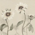 S10529 Sunflowers White Sandberg Wallpaper product