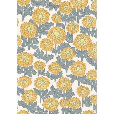 Pikkudaalia 70109 Pihlgren Ritola kuva