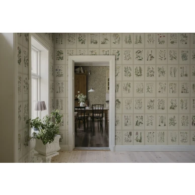 S10508 Botanica Oat Sandberg Wallpaper interior1 kuva