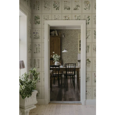 S10508 Botanica Oat Sandberg Wallpaper interior2 kuva
