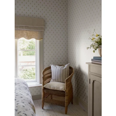 6973 Anemone Roomshot 1 kuva