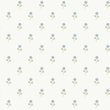 6974 Anemone Closeup kuva