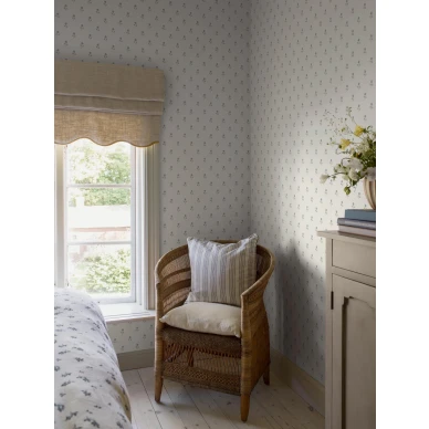 6974 Anemone Roomshot 2 kuva