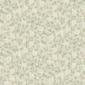 6977 Klover Closeup
