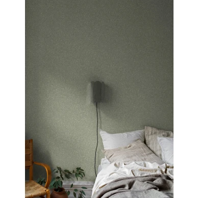 7787 SalixAlba Roomshot 1 kuva