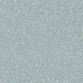 7788 SalixAlba Closeup