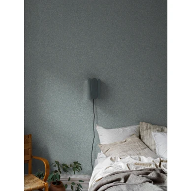 7788 SalixAlba Roomshot 1 kuva