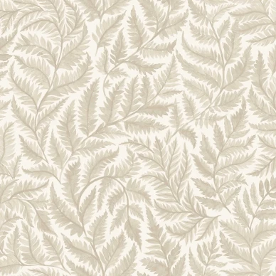 7789 Ferns Closeup kuva