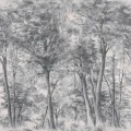 9630w SketchofTrees PatternImage