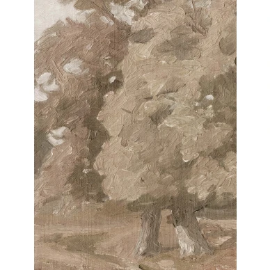 9671W HedgerowLandscape Closeup kuva