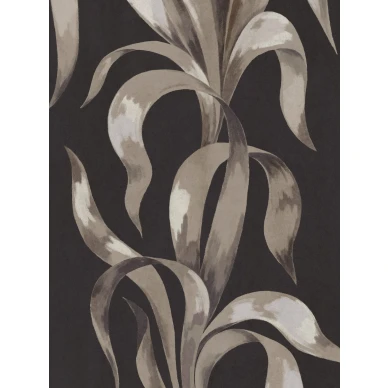 9608W Agave Closeup image