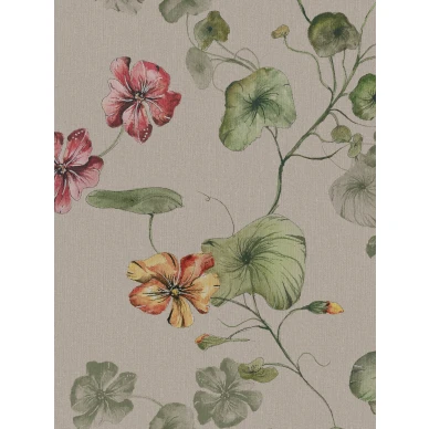 9577W MyFeldt Tradgadskrasse Closeup kuva