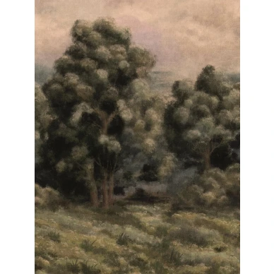 9594W MistyForest Closeup kuva