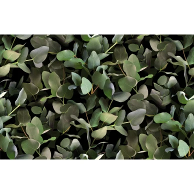 9523W Eucalyptus PatternImage kuva