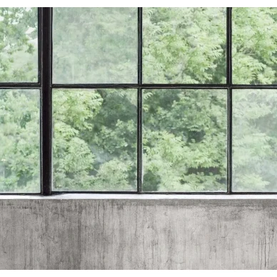 9514W ConcreteWallWindows Closeup image