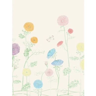 9564W SummerAster Closeup kuva