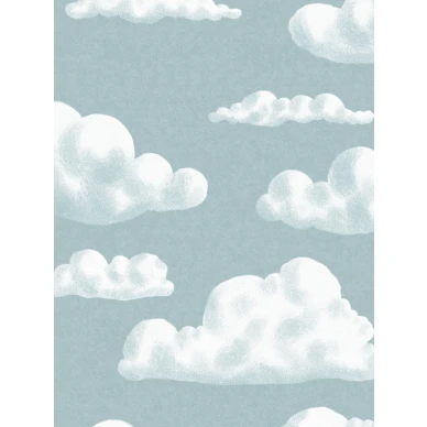 9618w InTheClouds Closeup kuva