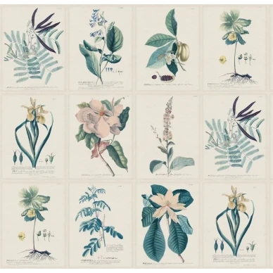 S10589 Flora Blue Sandberg Wallpaper product kuva