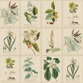 S10598 Flora Green Sandberg Wallpaper product