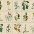 S10598 Flora Green Sandberg Wallpaper product