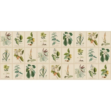 S10598 Flora Green Sandberg Wallpaper product image