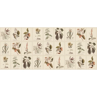 S10599 Flora Sepia Sandberg Wallpaper product image