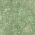 S10605 Juni Green Sandberg Wallpaper product