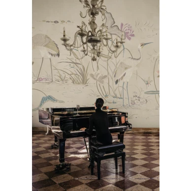 S10418 Seabirds Sandstone Sandberg Wallpaper interior2 kuva