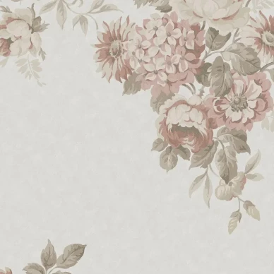 9716W HortensiaGrand Closeup kuva