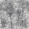 9630w SketchofTrees PatternImage