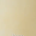 Burro v2