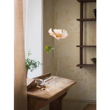 8145 KingdomOfTheWillow Roomshot 5 kuva