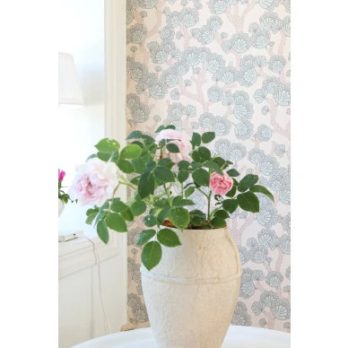 165 01 beachy breeze C kuva