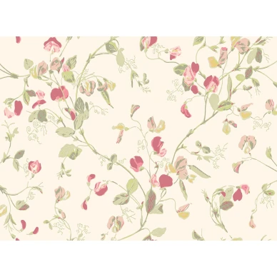 SweetPea Image Flatshot Item 100 6028 kuva