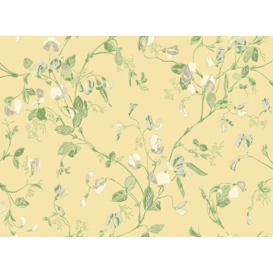 SweetPea Image Flatshot Item 100 6029 kuva