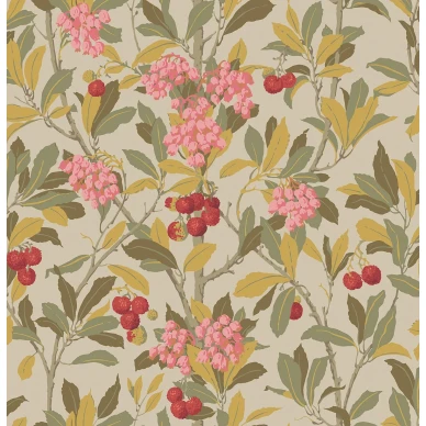 StrawberryTree Image Flatshot Item 100 10047 kuva