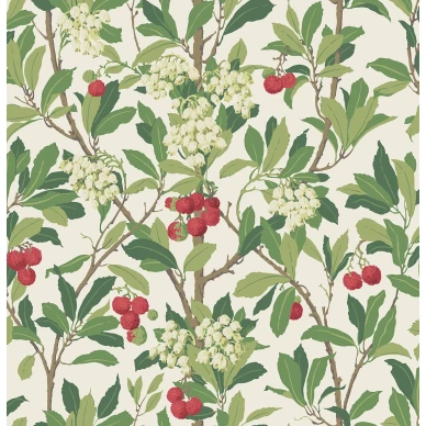 StrawberryTree Image Flatshot Item 100 10049 kuva