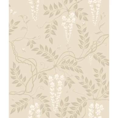 Egerton Image Flatshot Item 100 9046 kuva