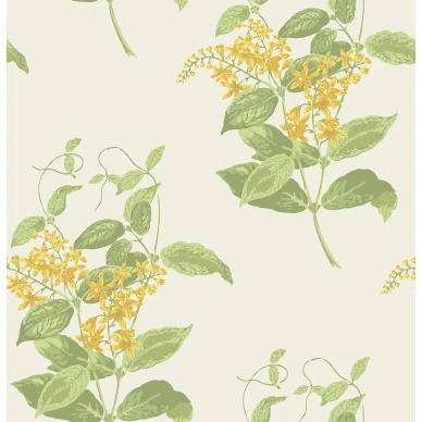 MadrasViolet Image Flatshot Item 100 12059 kuva