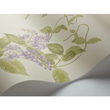 MadrasViolet Image WaveImage Item 100 12056 kuva