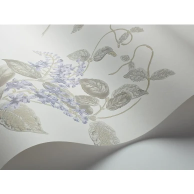 MadrasViolet Image WaveImage Item 100 12057 kuva