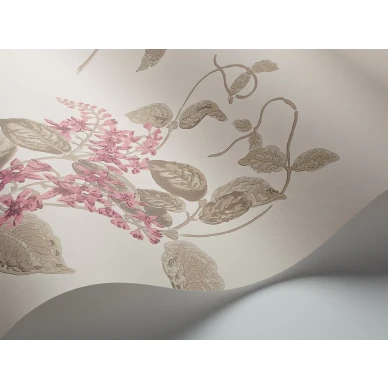 MadrasViolet Image WaveImage Item 100 12058 kuva