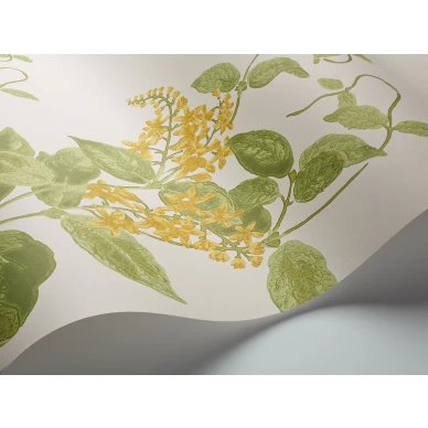 MadrasViolet Image WaveImage Item 100 12059 kuva