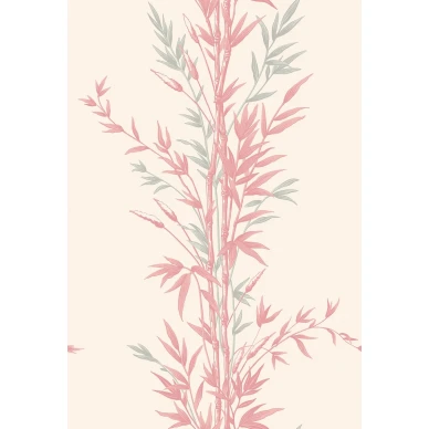 Bamboo Image Flatshot Item 100 5024 kuva