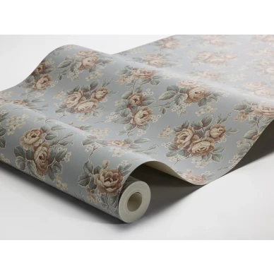 8189 Helena WaveImage kuva