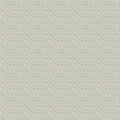 8179 Ida Closeup kuva