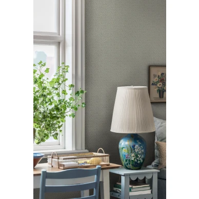 8179 Ida Roomshot 1 kuva