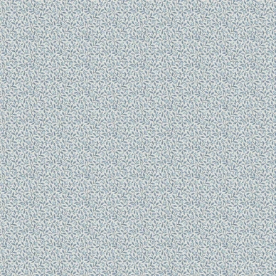 8180 Ida Closeup kuva